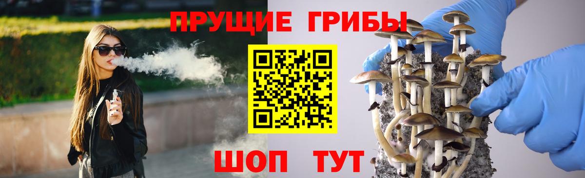 Гулькевичи  Псилоцибиновые грибы MAGIC MUSHROOMS  Вход с VPN 